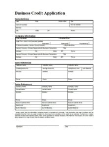 Credit Application Form 01